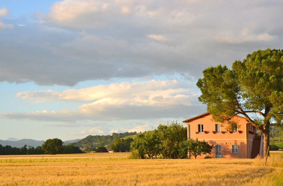 Casella della Barca Villa Torgiano Esterno foto