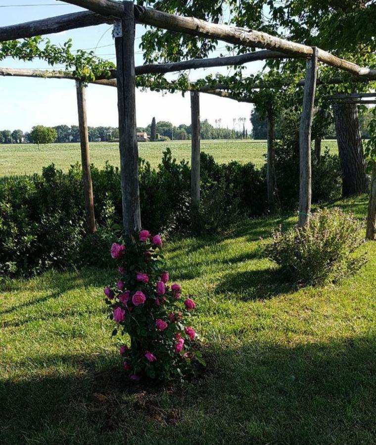 Casella della Barca Villa Torgiano Esterno foto