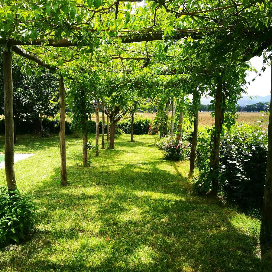 Casella della Barca Villa Torgiano Esterno foto