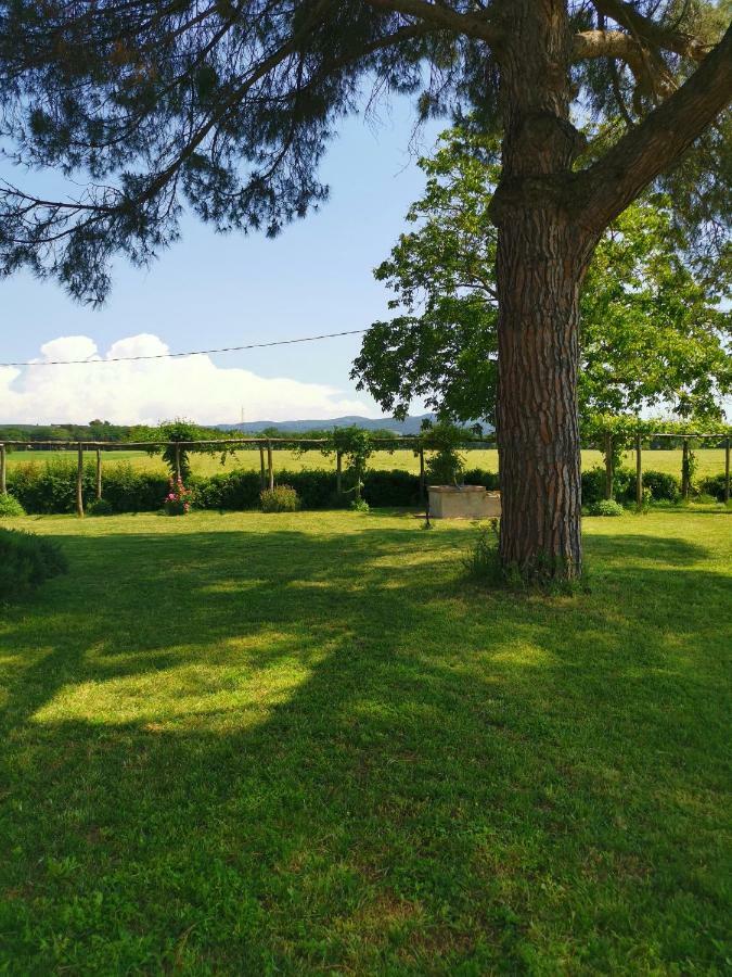 Casella della Barca Villa Torgiano Esterno foto