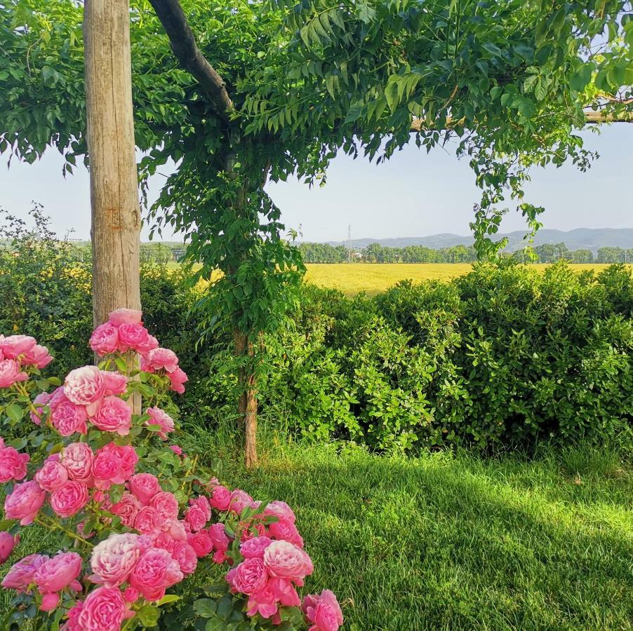 Casella della Barca Villa Torgiano Esterno foto